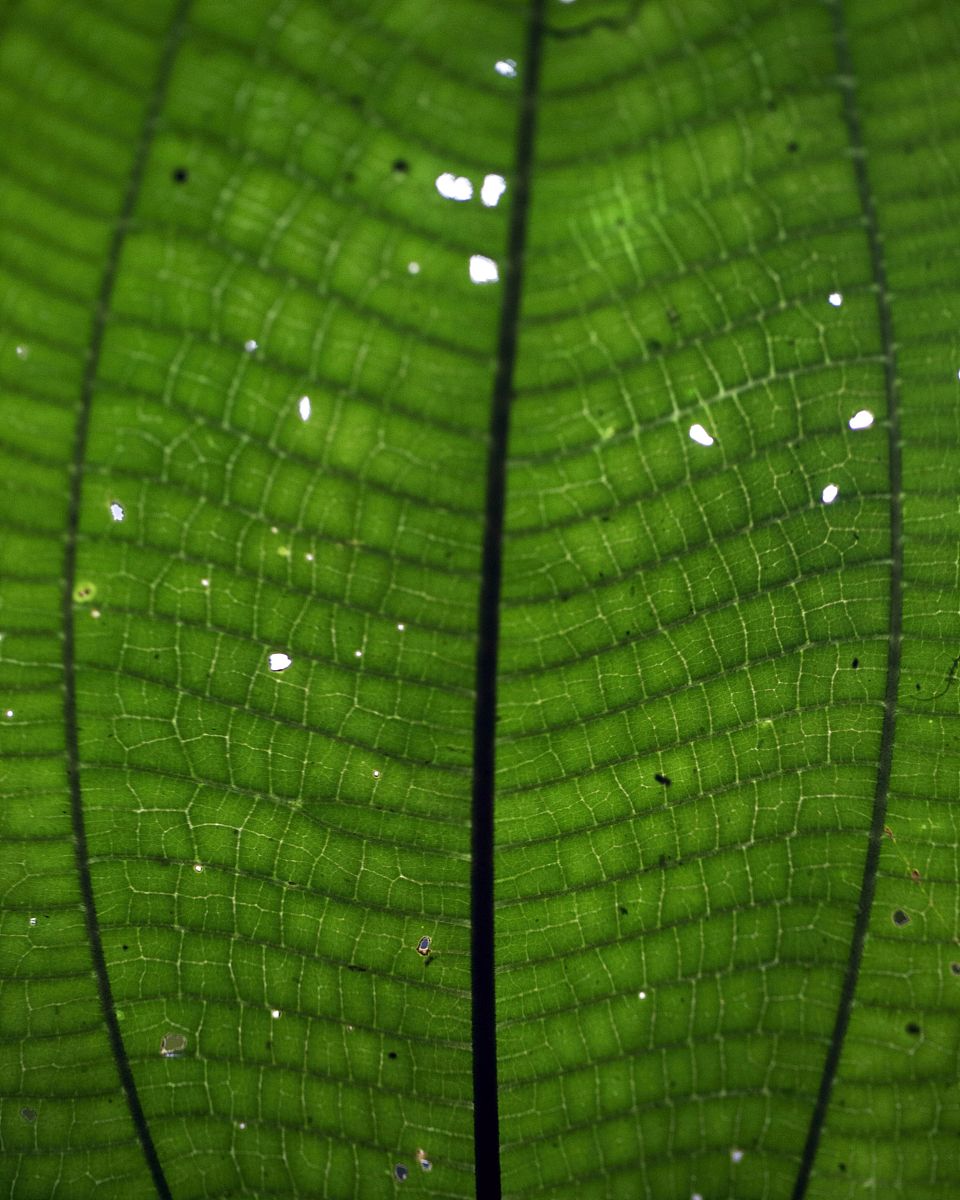 云南省曲靖农业学校2019年五年制专业招生设置：6个专业方向助力未来发展