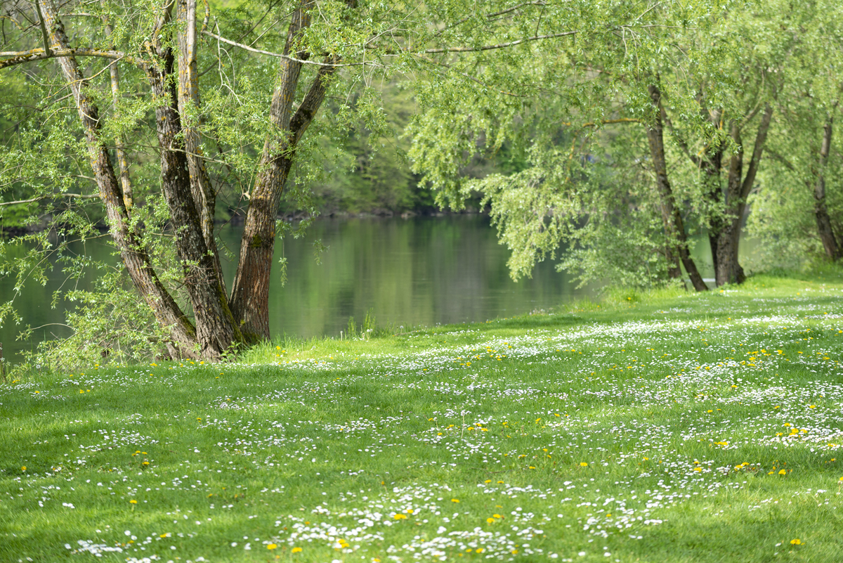 大自然的奇妙声音：感受生命的力量与美好