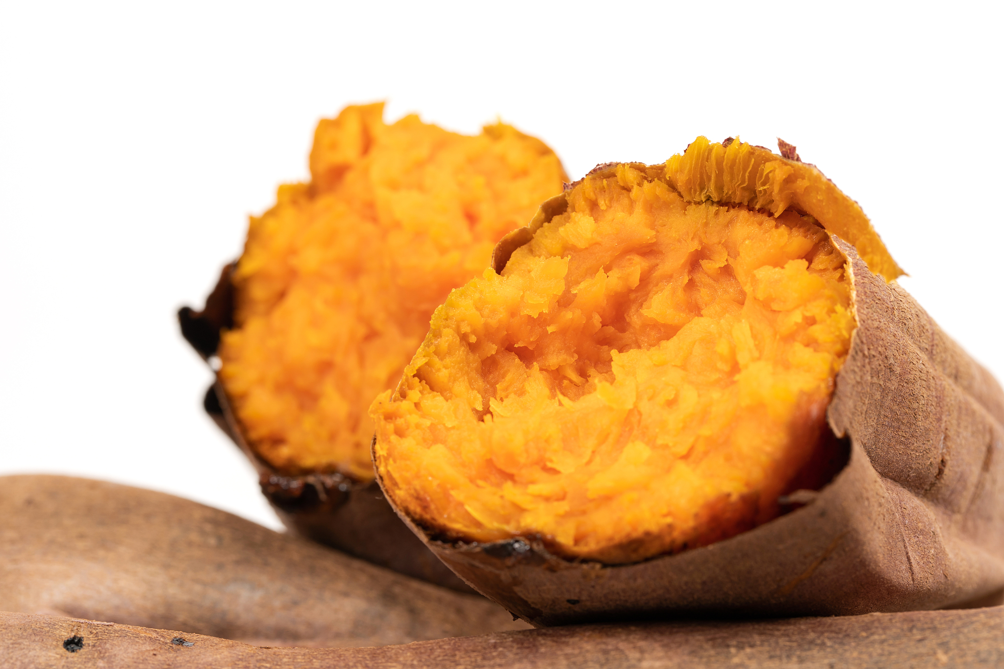 漳州科技职业学院食品营养与检测专业怎么样