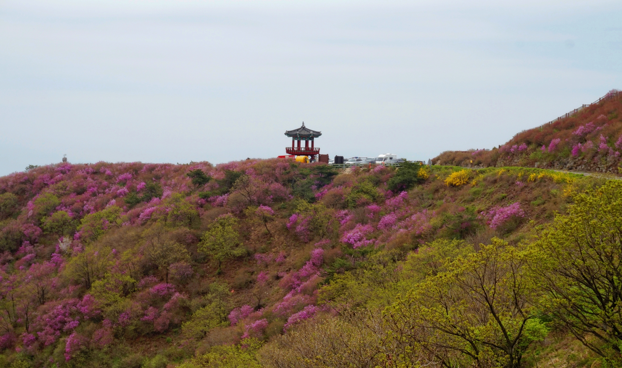 核心素养视域下六年级语文实践性作业设计策略研究