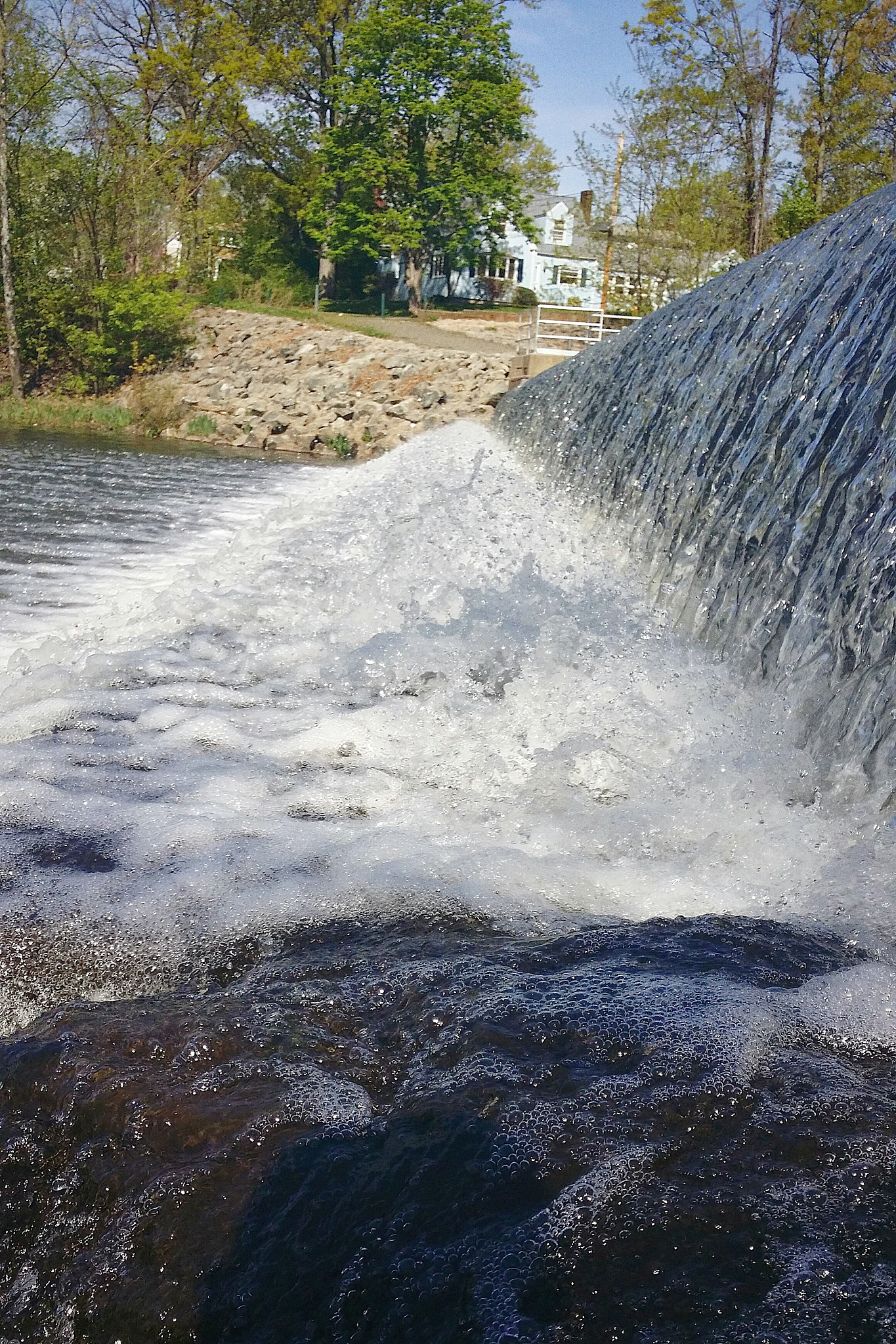 Optimizing Water Use Efficiency in Winter Wheat: Exploring Water-Saving Irrigation Strategies and Climate Change Resilience
