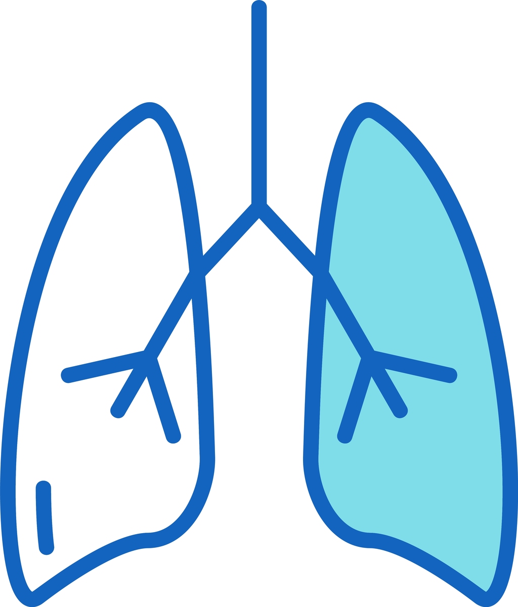 对于肺结核的简介