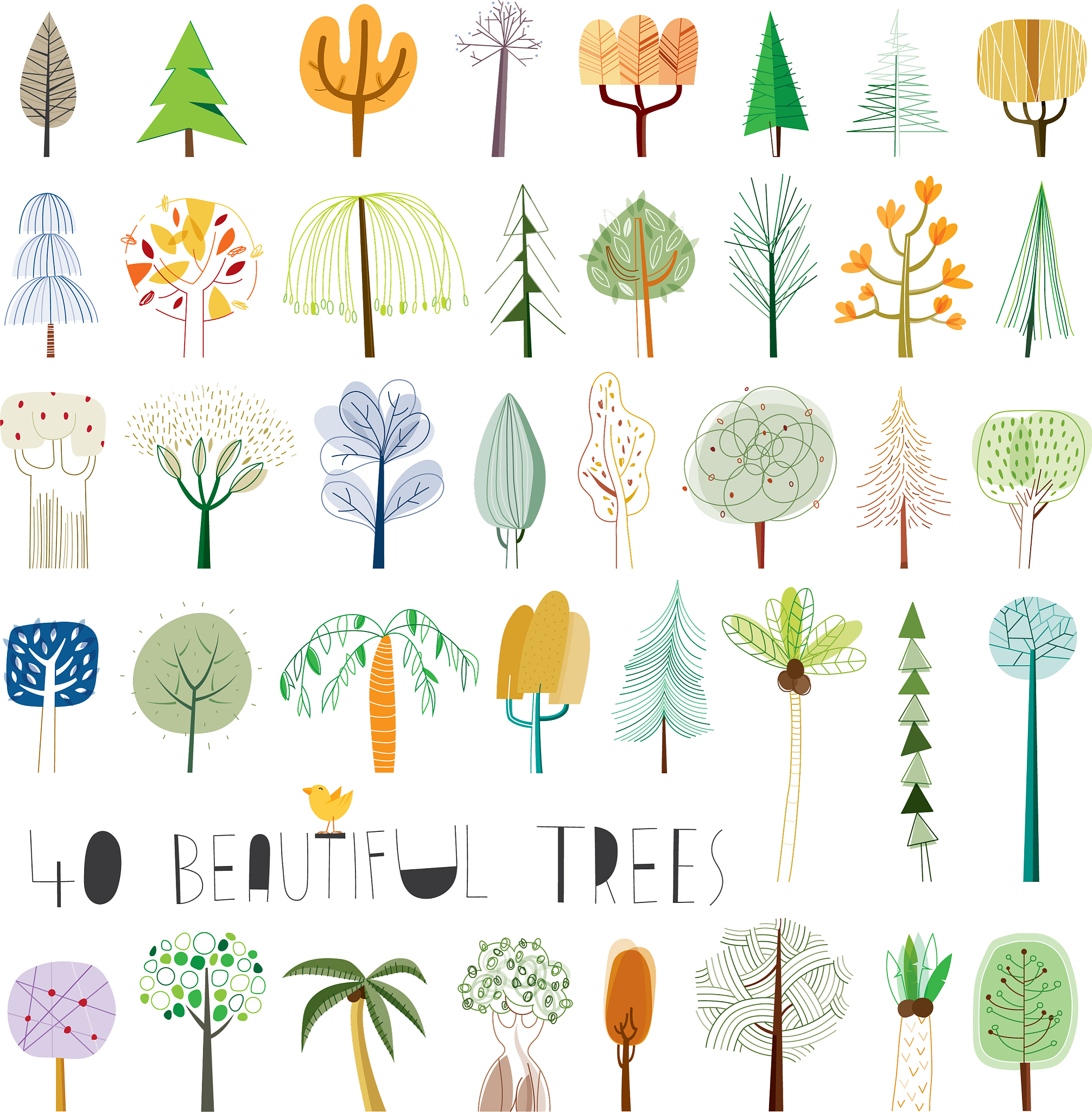 树木学实习感想：收获知识，感悟自然