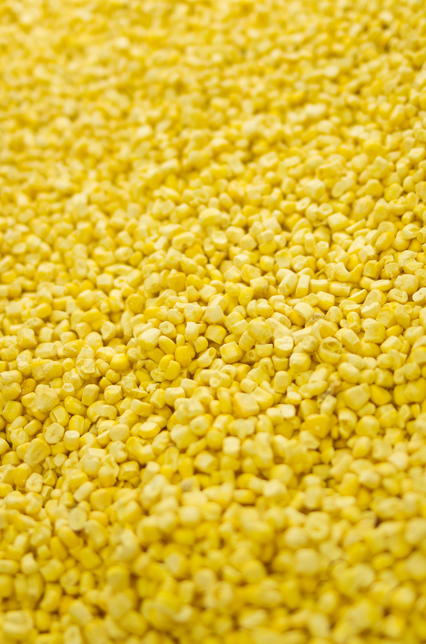 corn background