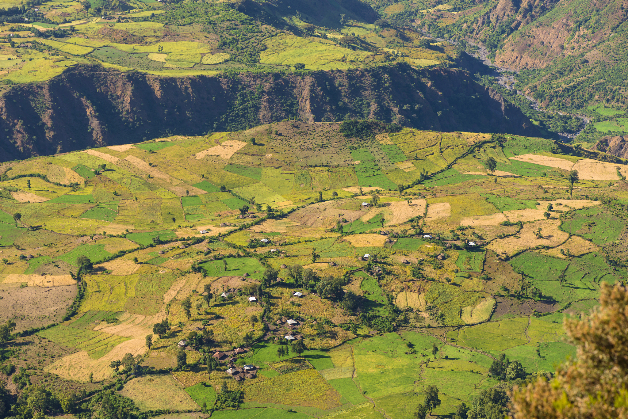 semien mountains, ethiopia