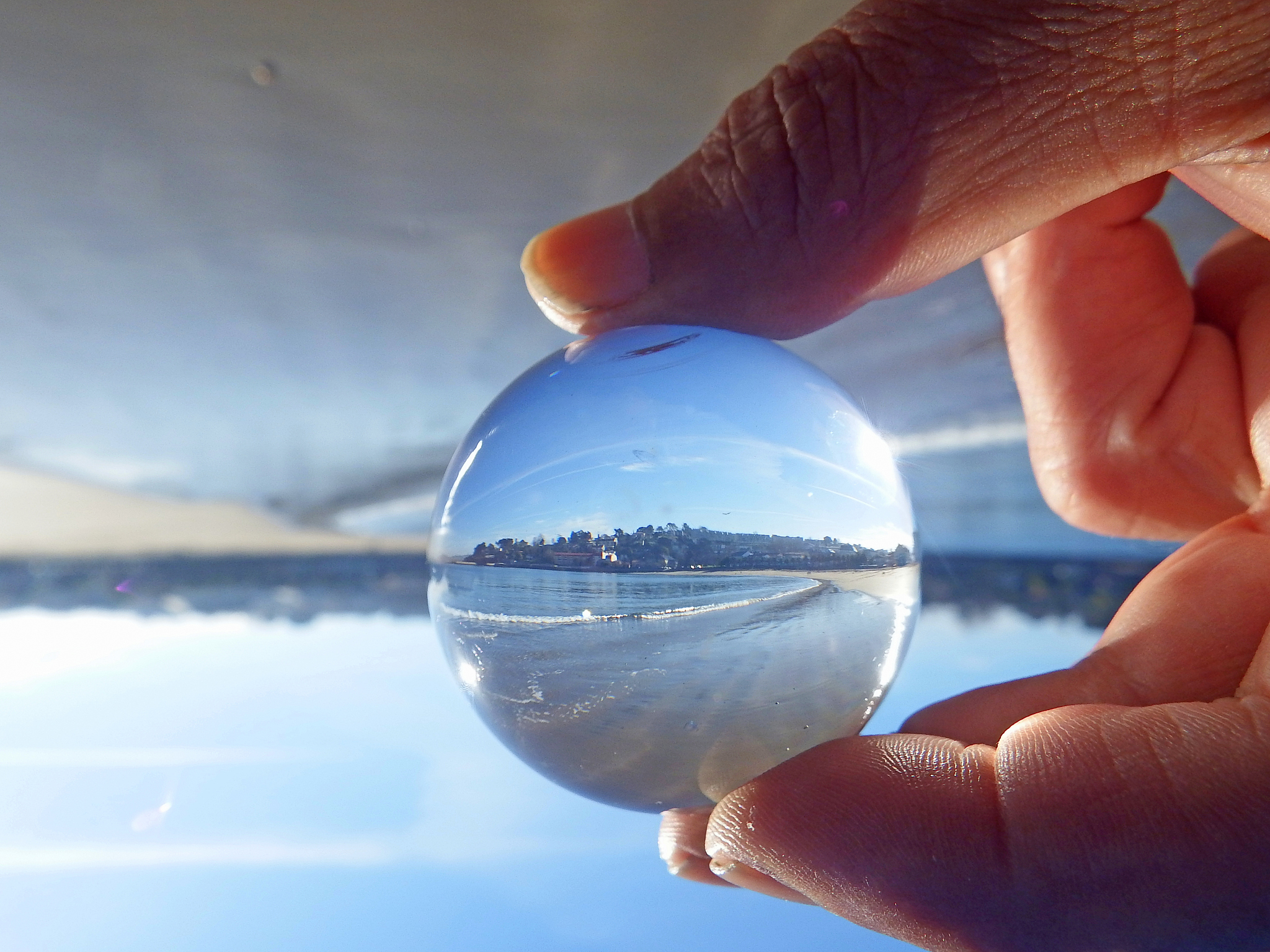 nature through a glass sphere