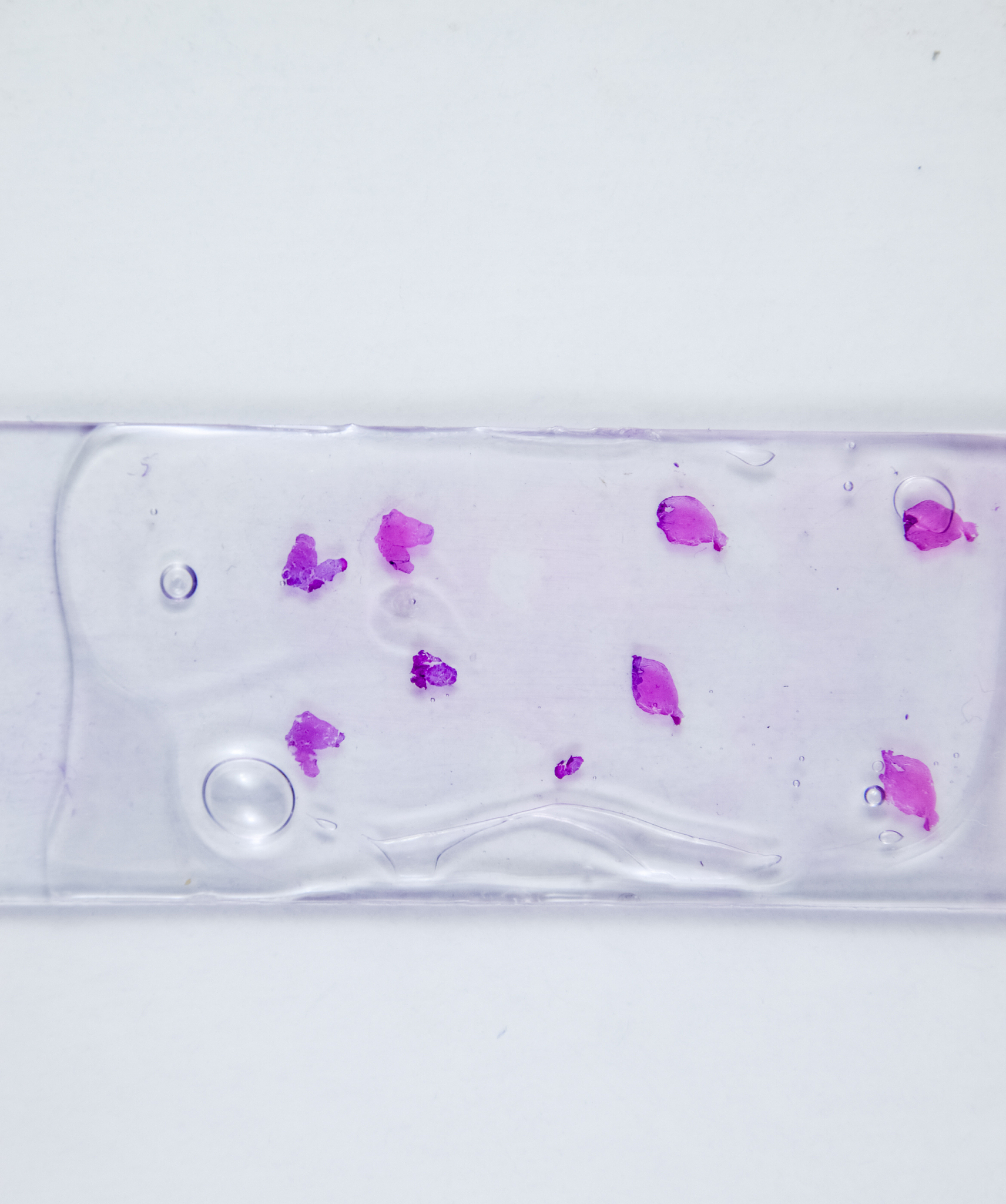 Translate to chineseDid you know that our bodies are made up of more than 100 billion cells! Changes in just one of these cells can eventually lead to something called cancer Lets find out more below