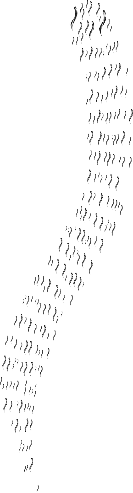 annelid worm icon composition