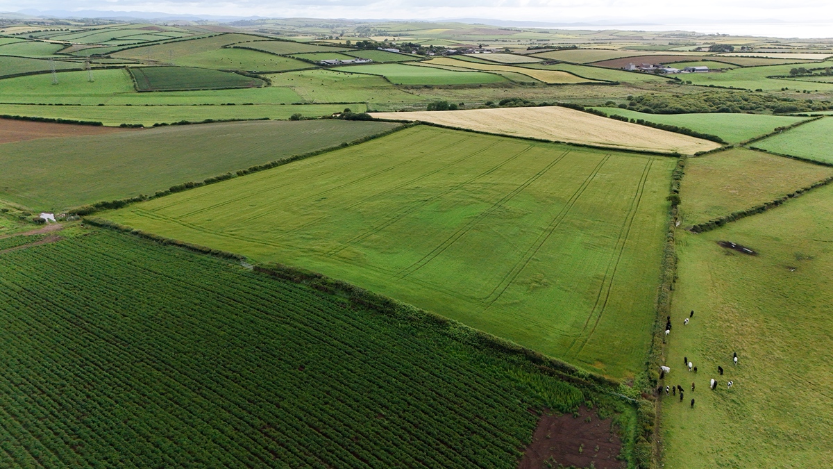 俄罗斯农业发展潜力巨大：广阔土地、优质农产品和政策支持