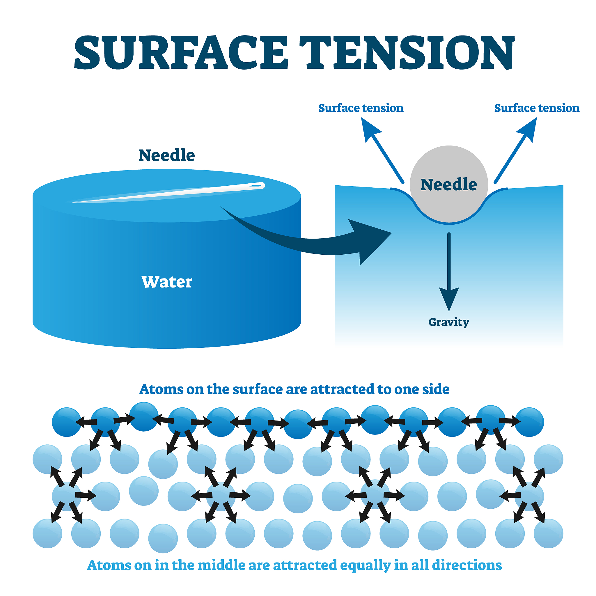 Impact of Riverine Lithogenic Material (RLM) Ballasting on Simulated Global Ocean POC Flux