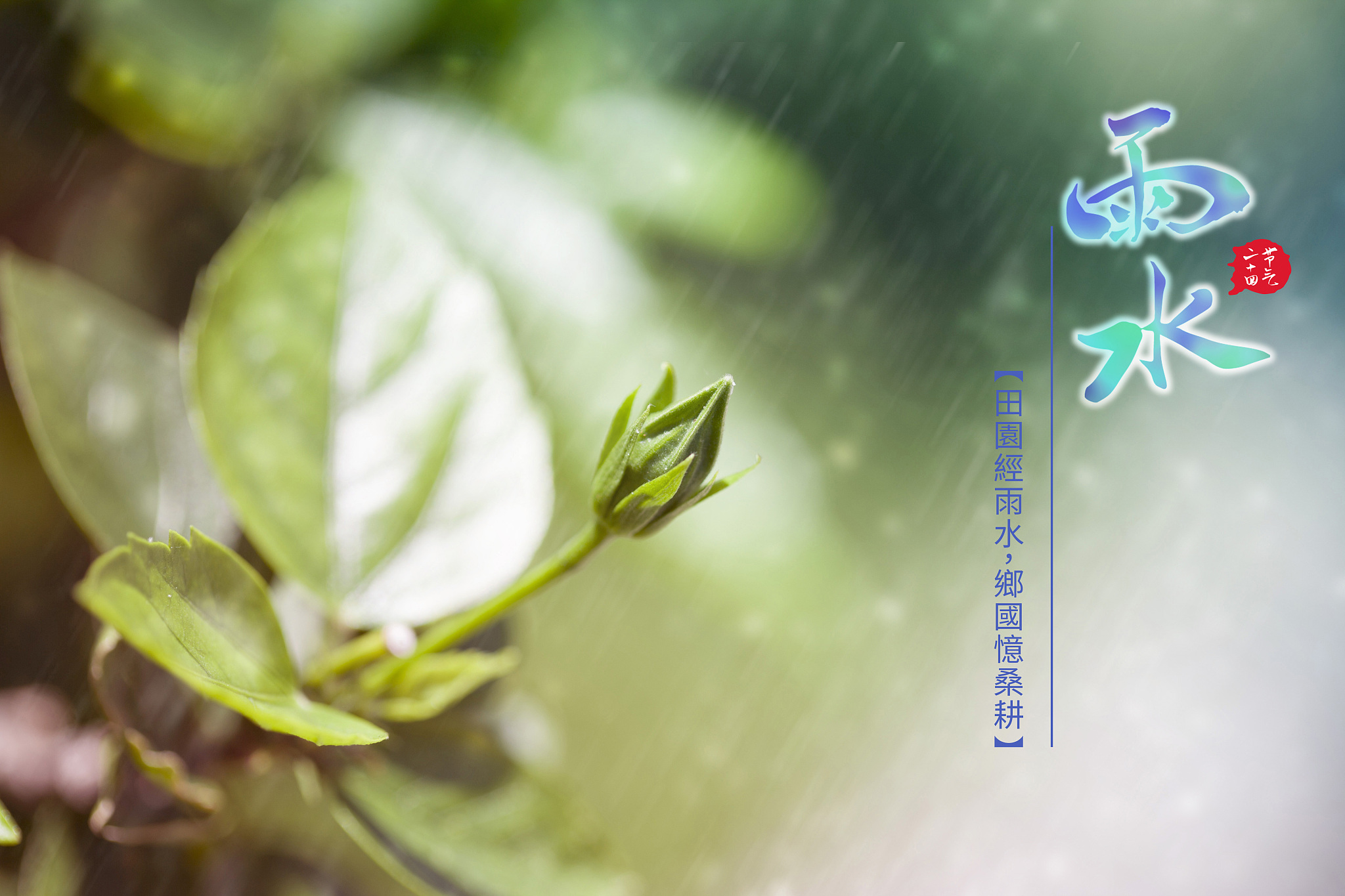 写一首下雨的诗