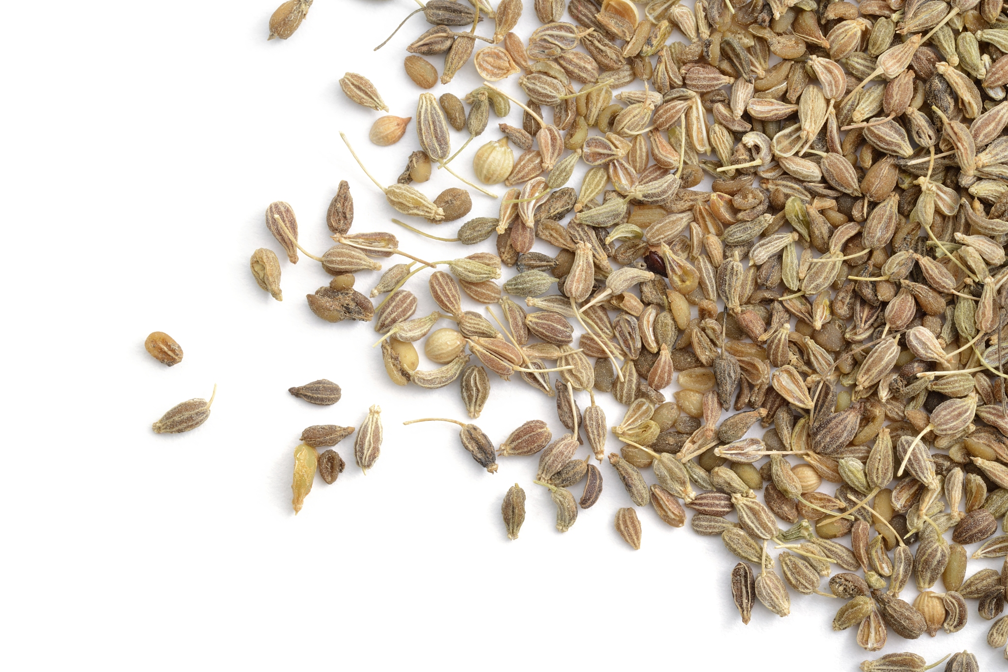 黔南民族医学高等专科学校中药教学质量如何