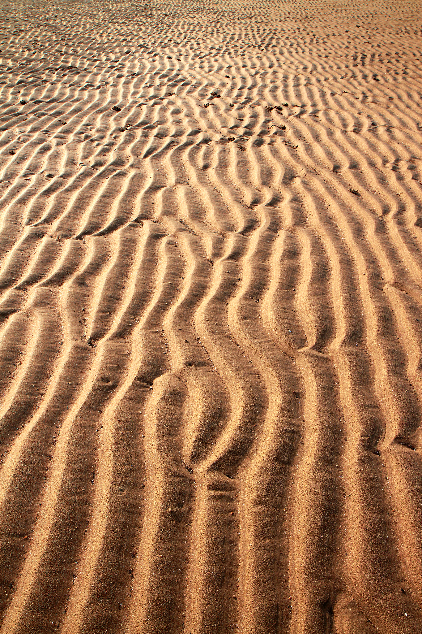 yellow beach