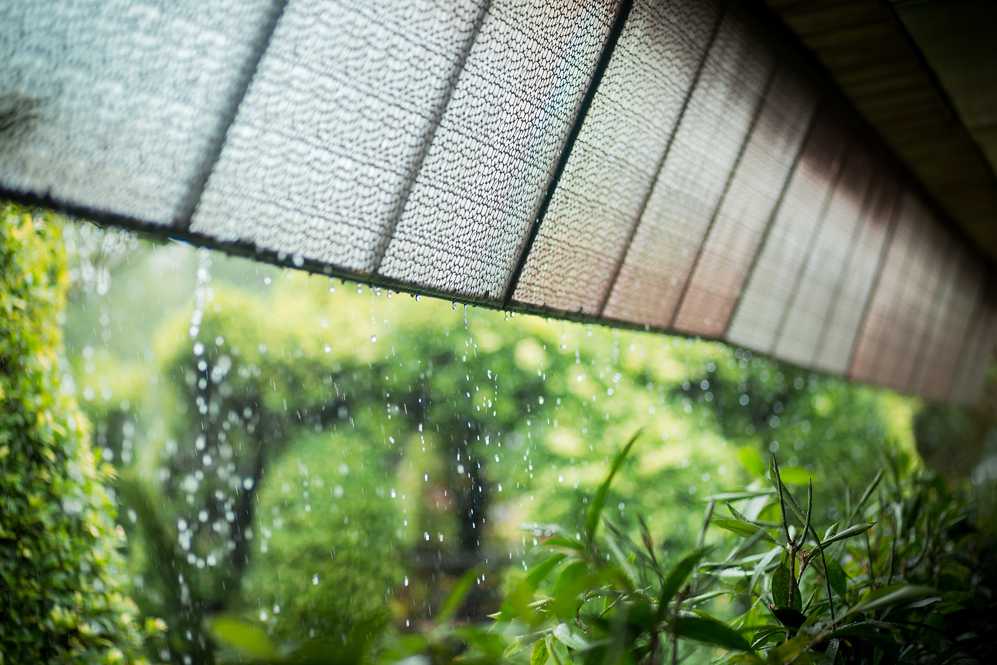 下雨天,生活更美好:感受雨的诗意与美好