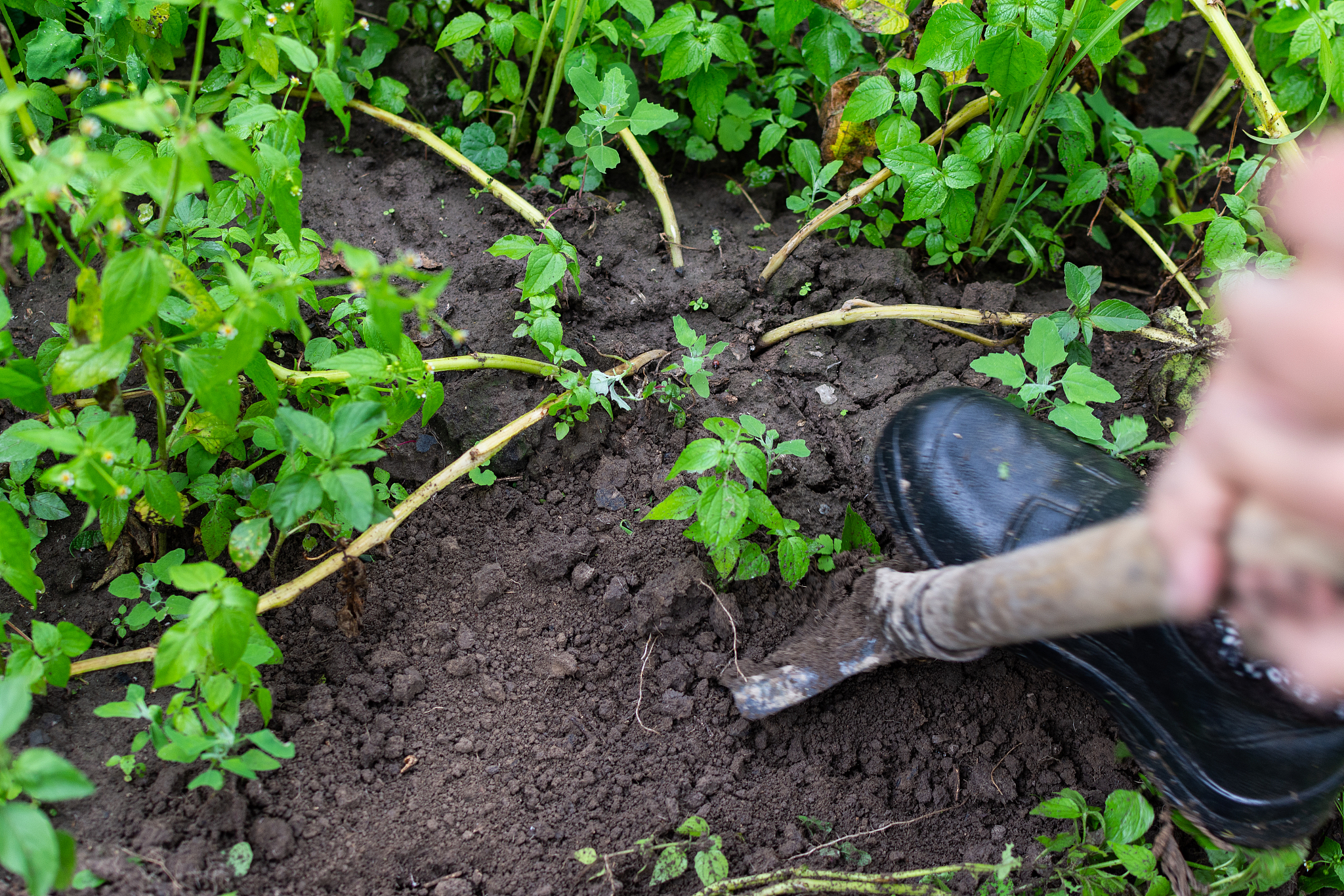 曲靖农业学校畜牧兽医五年一贯制大专招生 | 2019年招生简章
