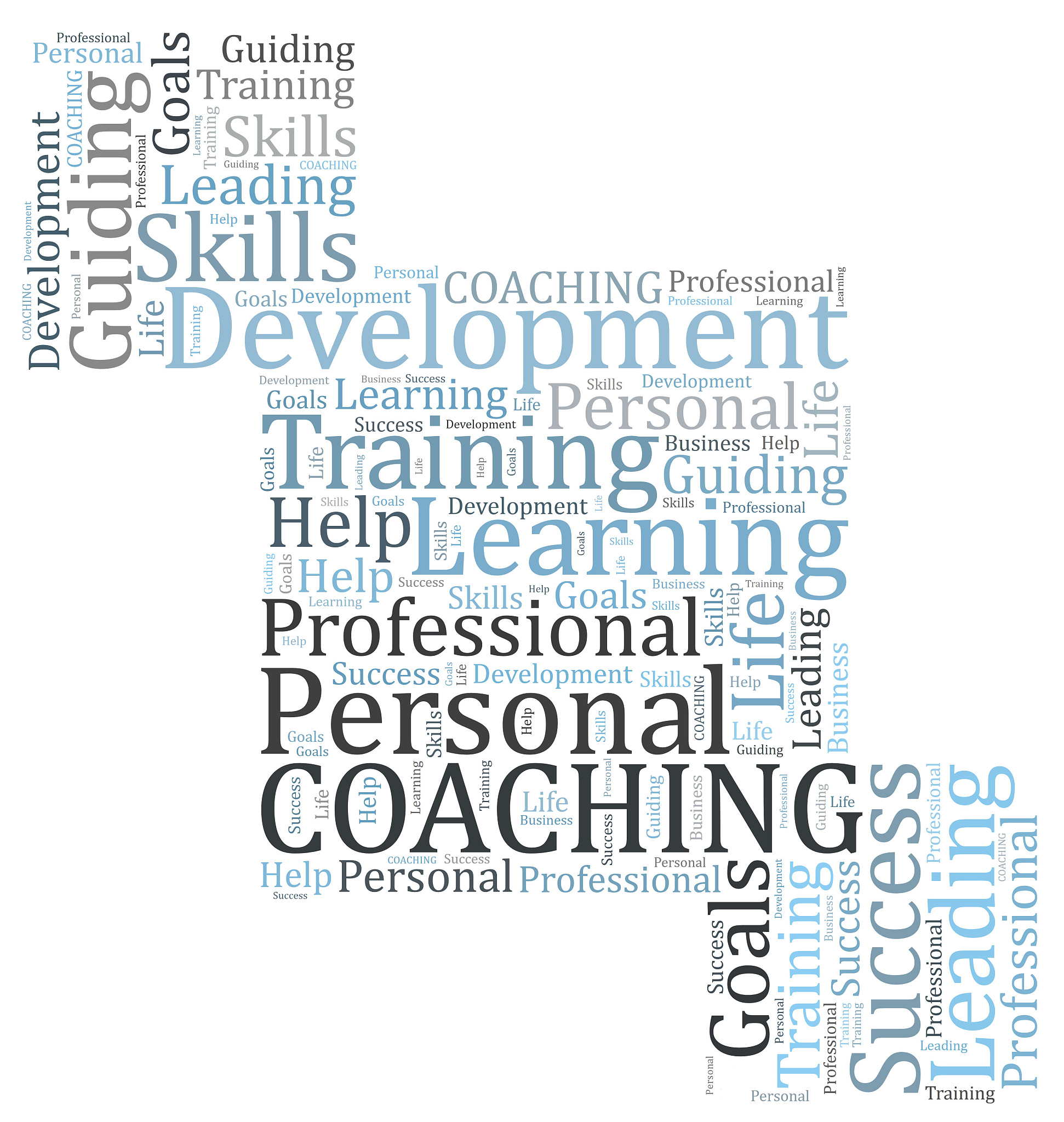 漳州职业技术学院导游专业都学些什么