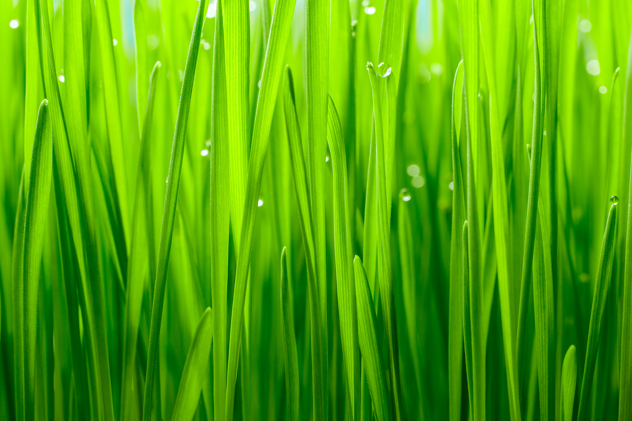 广东省环保技工学校怎么样？教育质量和发展前景分析