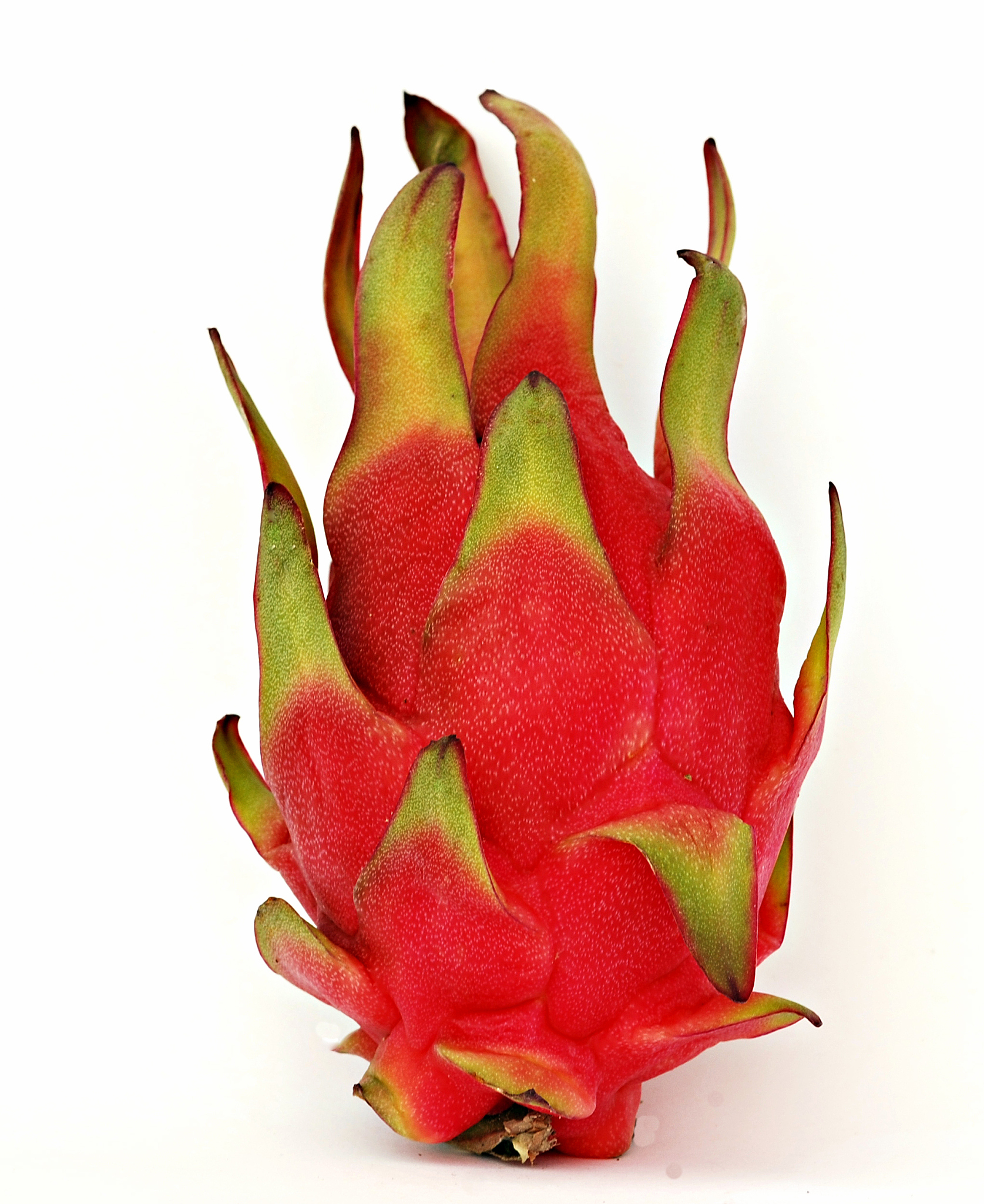 火龙果的功效与作用有哪些禁忌