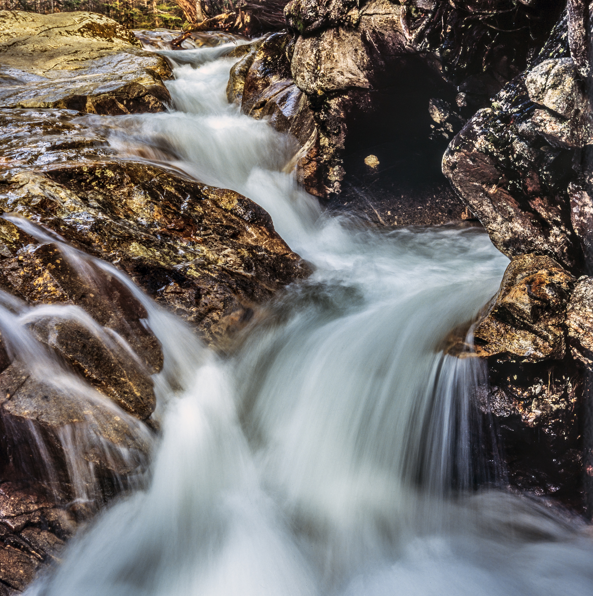 白山媒体曝光指南：平台推荐及求助热线