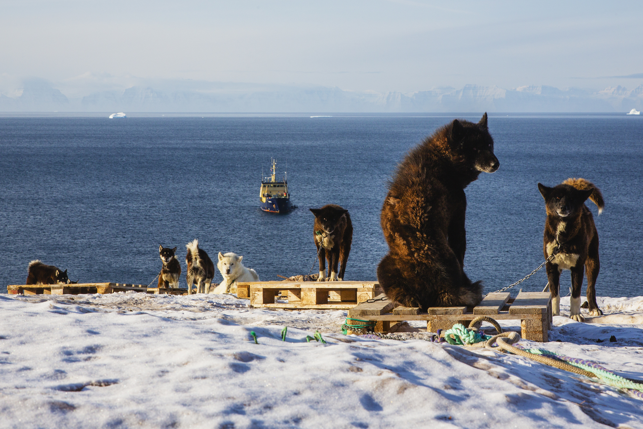 qq注销期间qq还可以用吗