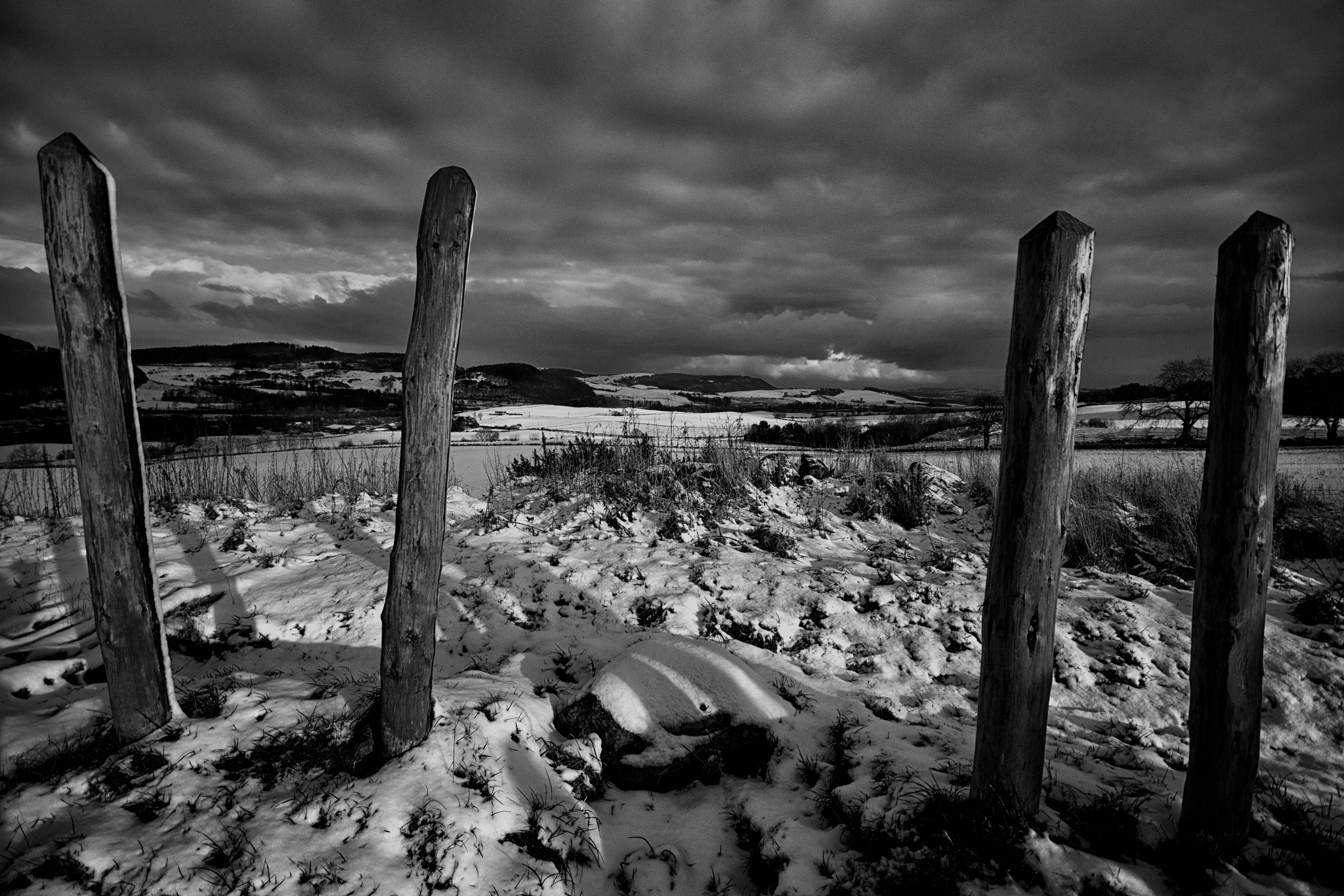 人类会灭绝吗？探讨影响人类未来生存的因素