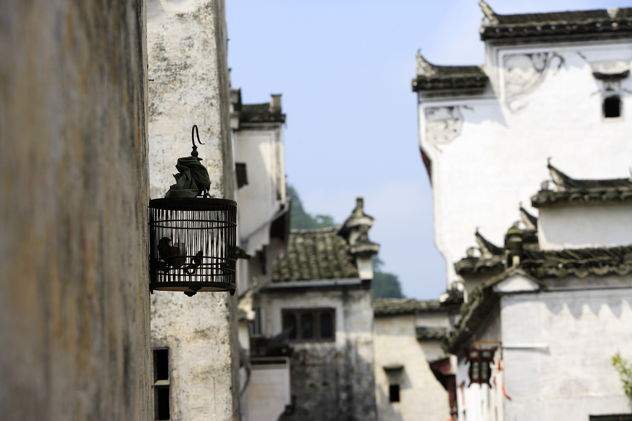 探秘徽派建筑：历史、艺术与文化传承