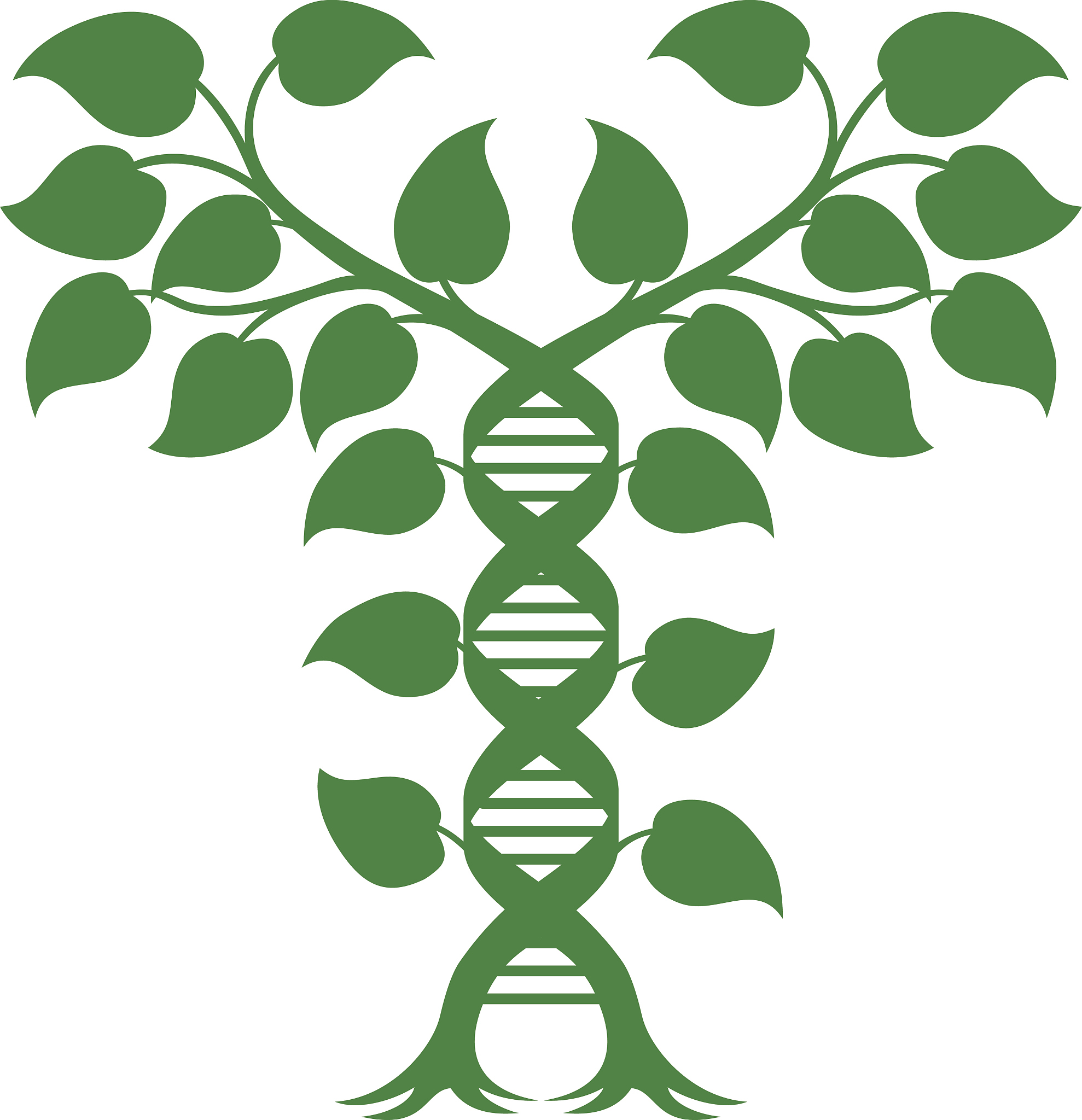 LAB ANIMAL 期刊：涵盖实验动物研究的各个方面