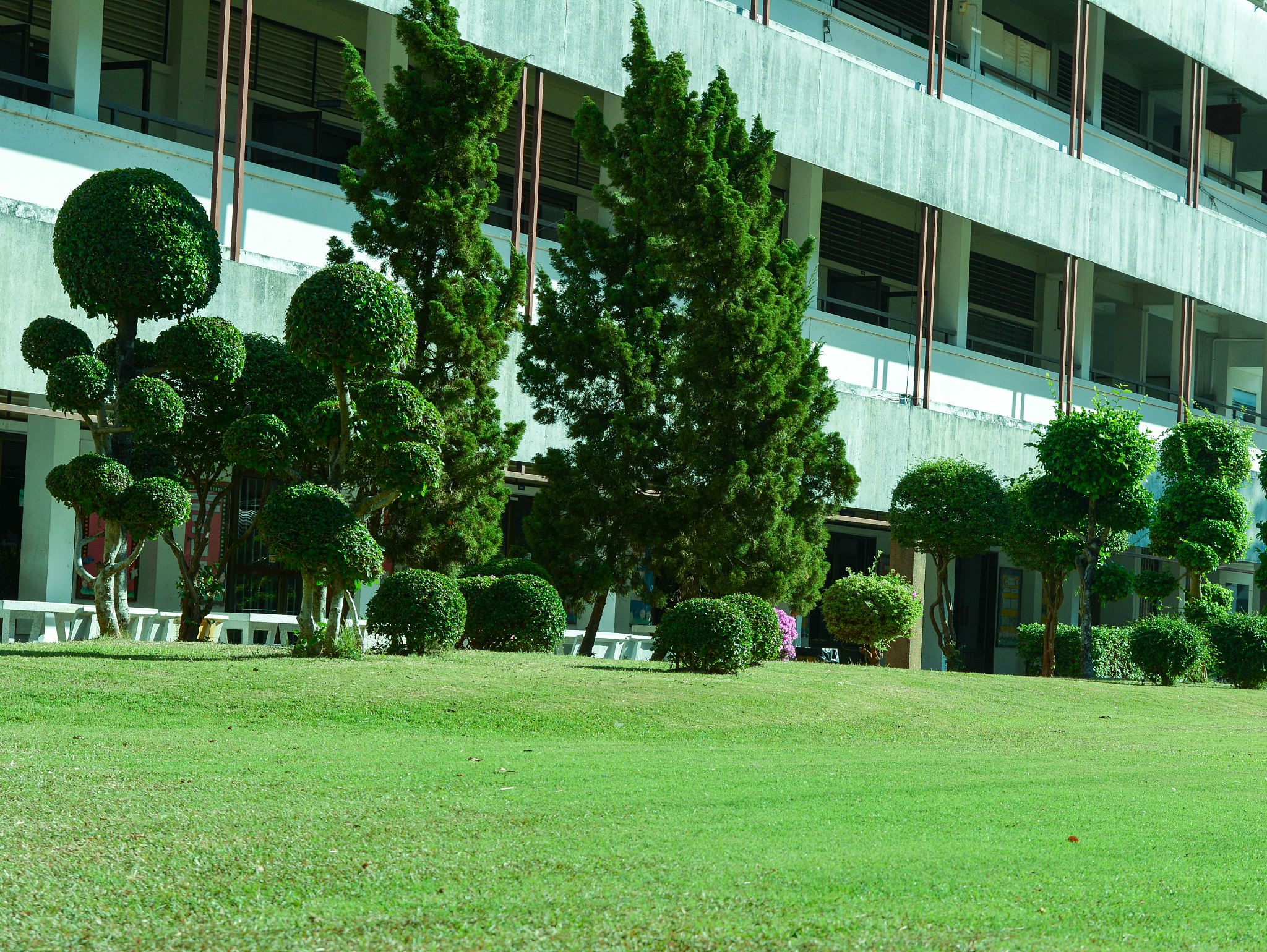 厦门东海职业技术学院园林技术专业专业课程设置有哪些