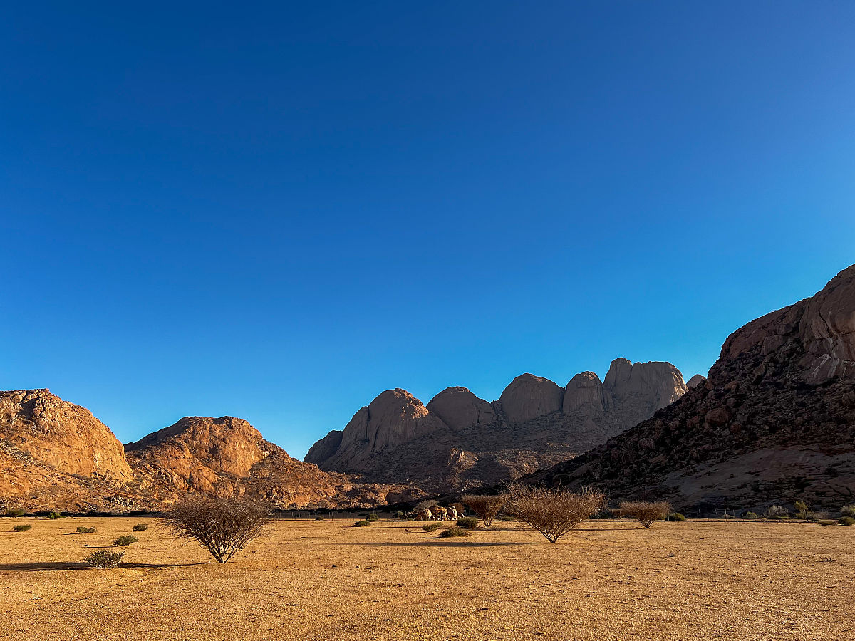 山东科技职业学院环境监测与控制技术专业就业前景分析