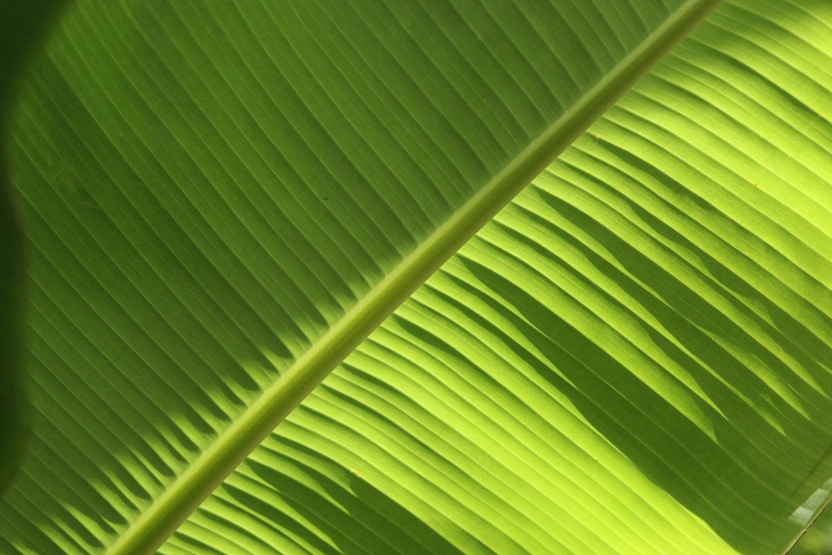 遵义博导网络职业技术学校旅游服务与管理专业怎么样