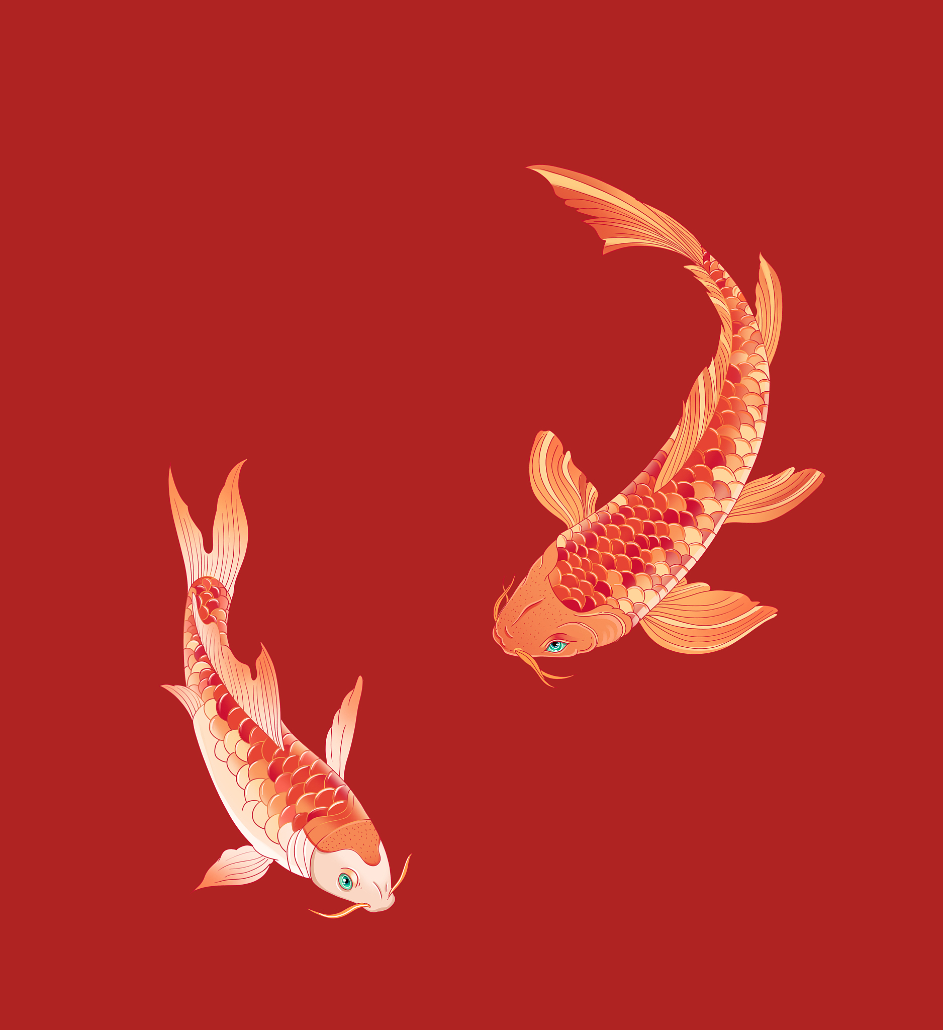 锦鲤精神：追逐梦想，绽放精彩人生