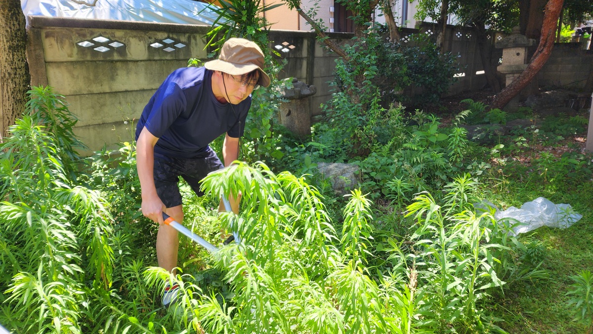 园艺技术专业好吗