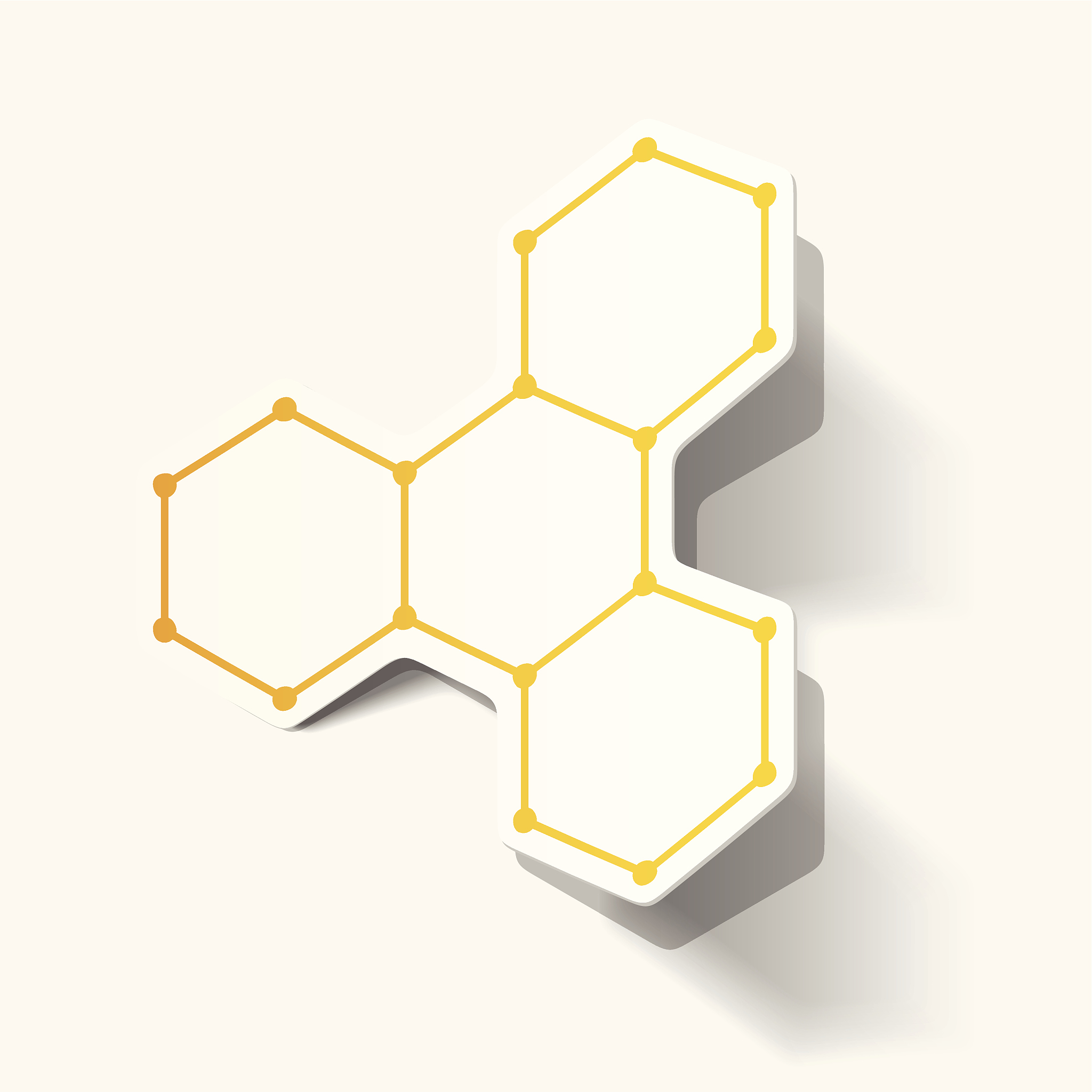 核小体组成：DNA、RNA和蛋白质的协同作用
