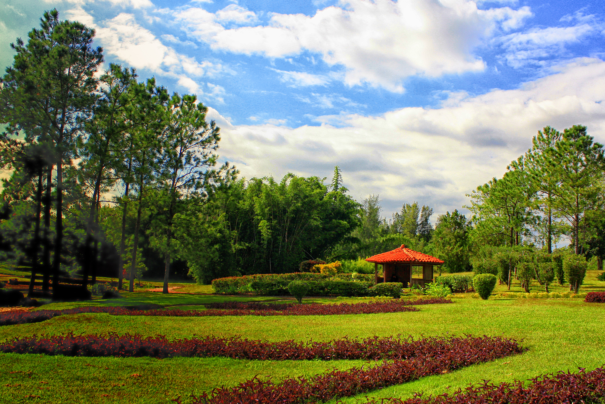 给我说一个郑州的公
