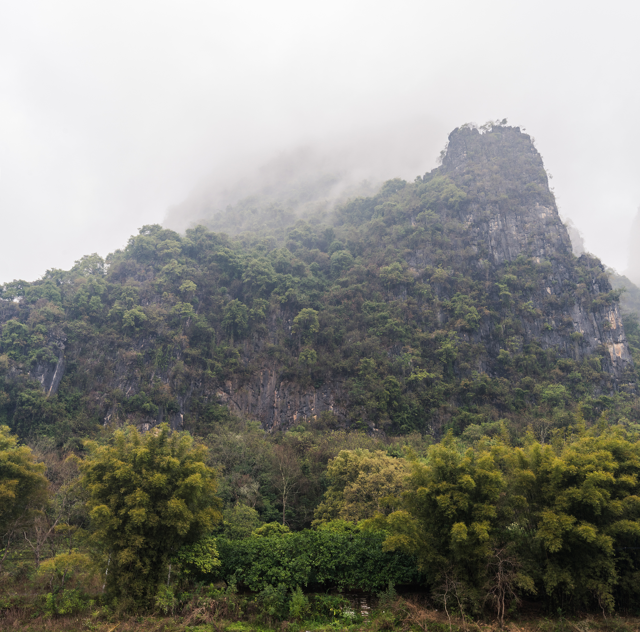 梧州殿村水口大山顶是什么山