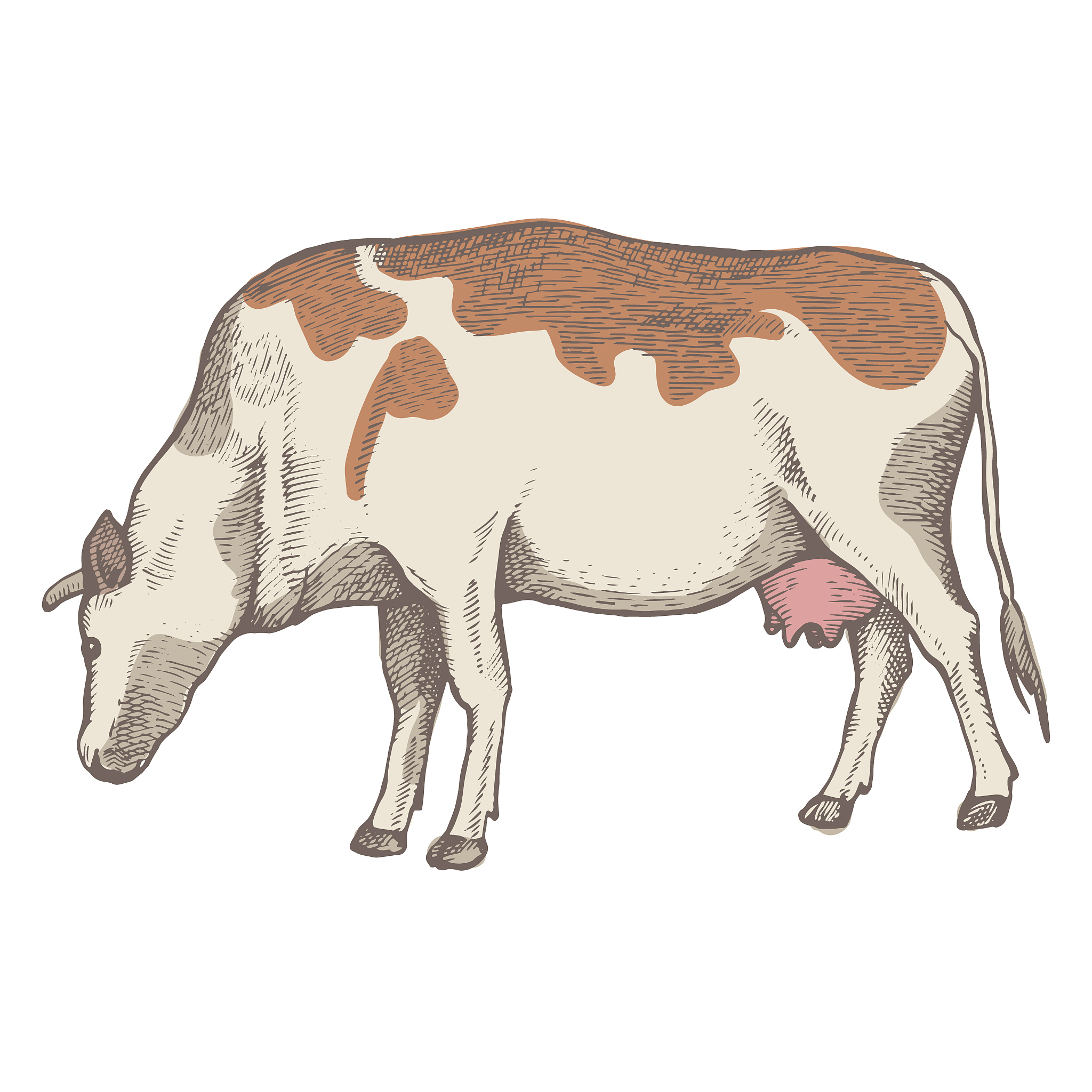 为什么牛还没下仔就出现翻底窝怎么才能消出底窝的问题帮我用210字详细描述