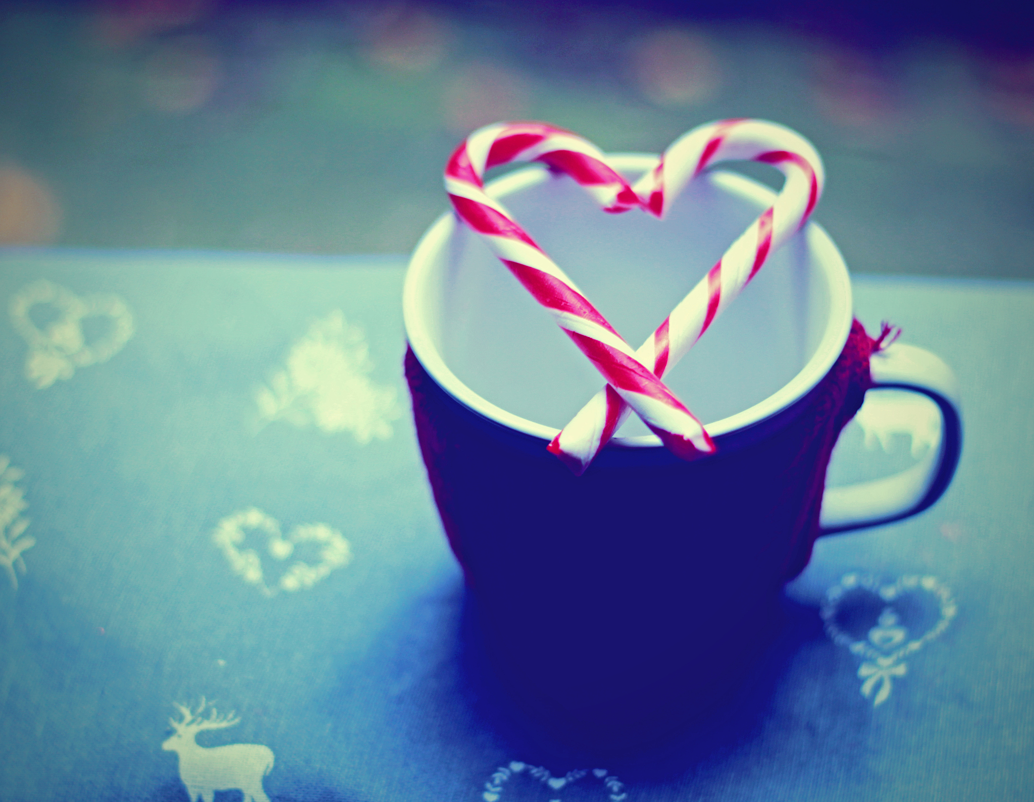 表达浪漫爱情的成语：希望永不结束的爱情