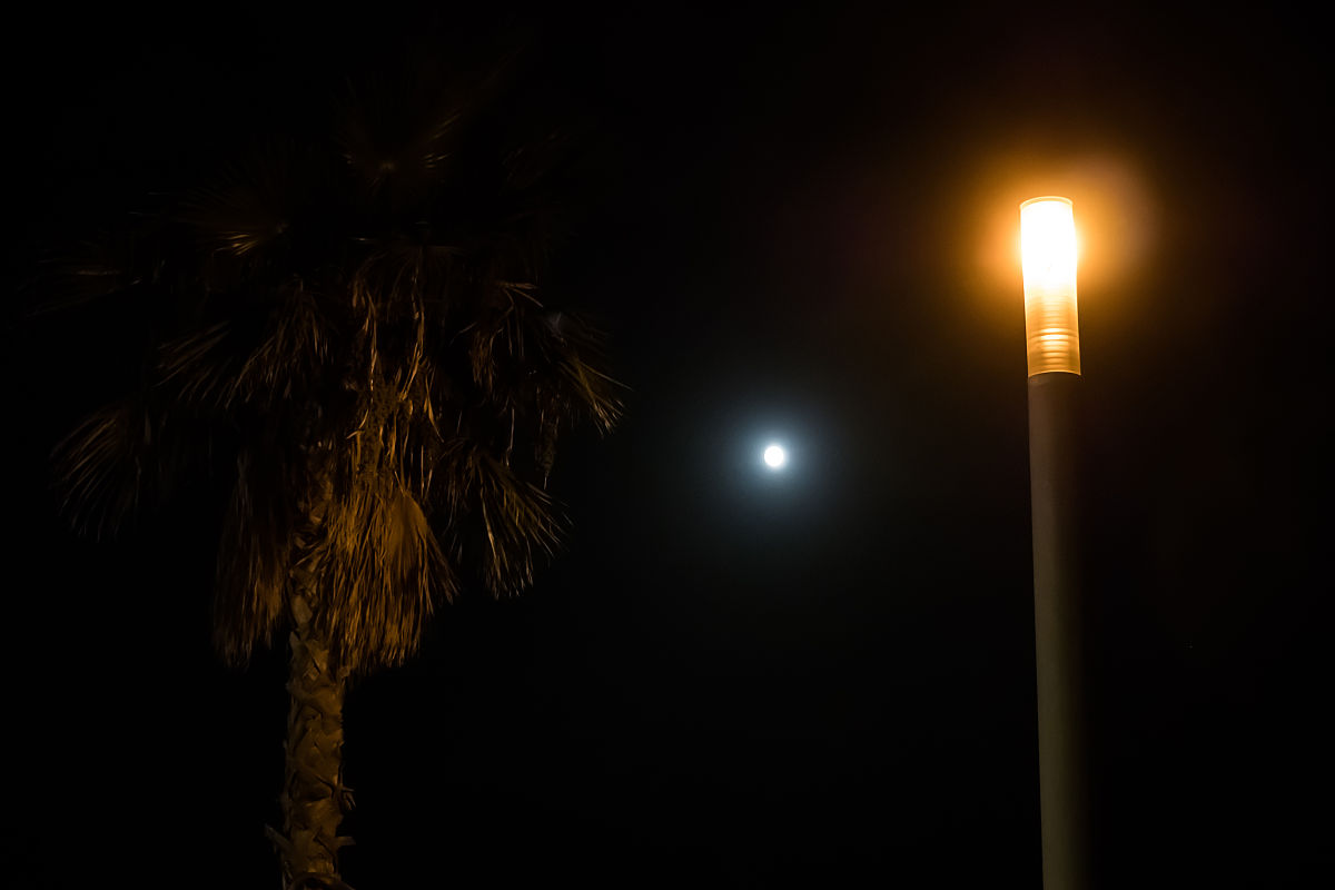 静谧夜色中的沉思：悼念外公，怀念过往