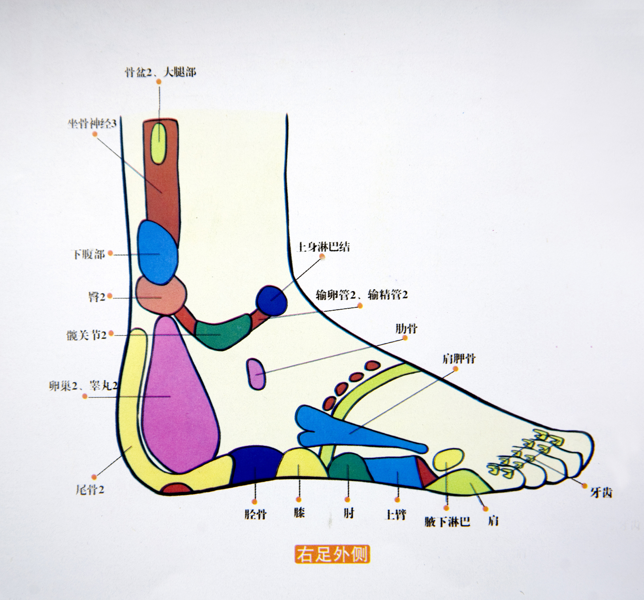 足浴改善自律神经？效果如何？