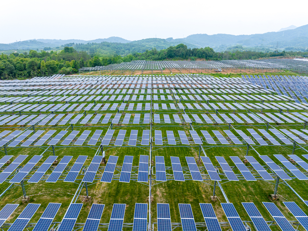 写一篇关于投资的情况说明园区投资400万元种植经济作物房屋建设投资2000万元