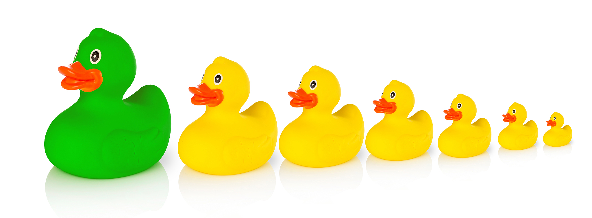 曲靖畜牧兽医学校2019年五年制大专招生设置