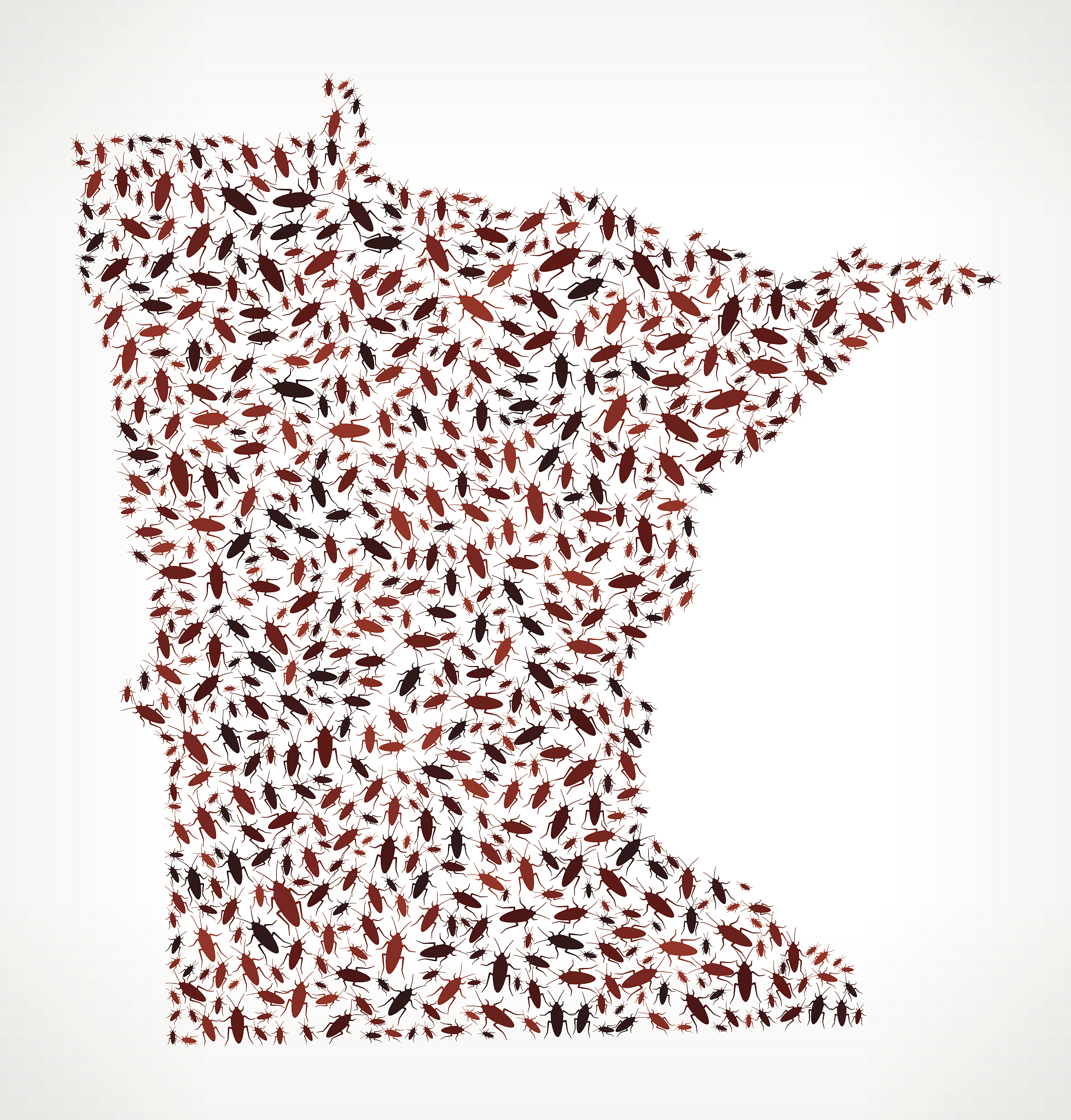 润色论文标题：寄蝇科Tachinidae隶属于双翅目Diptera有瓣蝇类Calyptratae狂蝇总科Oestroidea在各生物地理区系内均有分布全世界记录有4亚科58族1500属8592种其中中国记录有4亚科42族285属1253种其成虫形态复杂幼虫寄生为绝大多数农、林、果、蔬、园林等害虫最有效的寄生性天敌之一在自然条件下以及在人工生态系统中控制害虫的种群数量起着极为重要的调节作用其在植物保