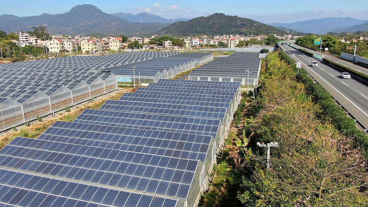 曲靖市农业学校五年制热门招生专业 | 农业人才培养基地