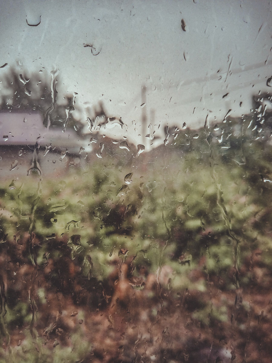 围绕下雨’写一篇500字的文章。