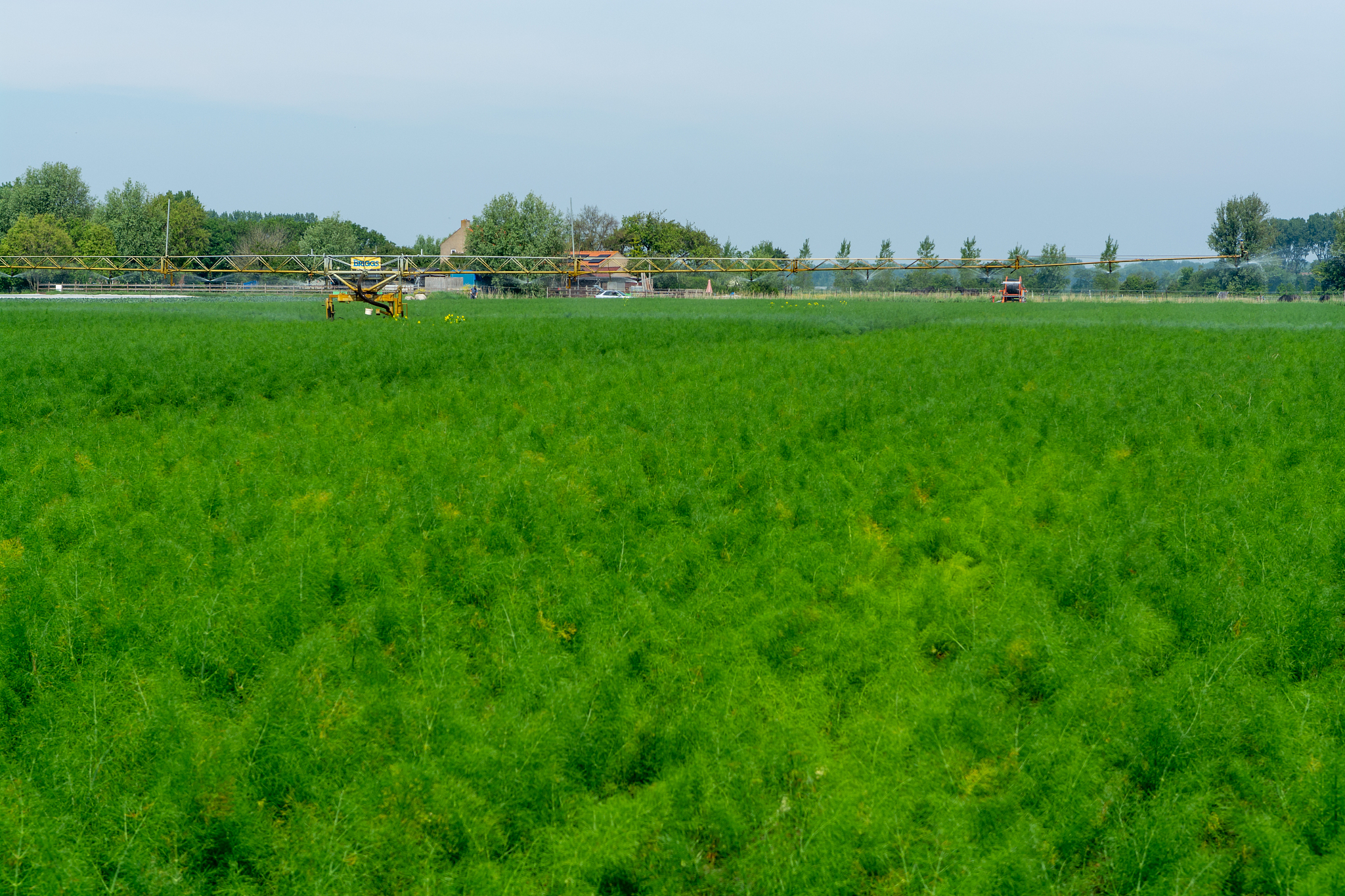 曲靖农业学校五年制普通大专招生条件