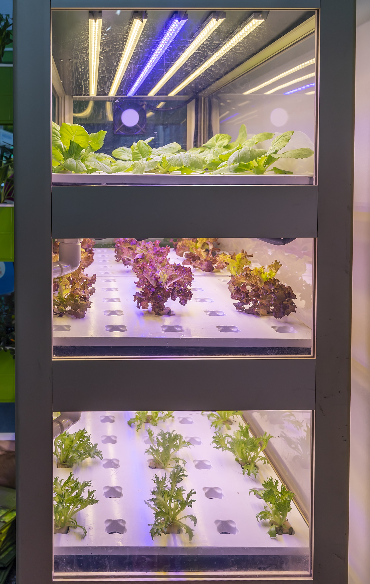 绿值补光灯选择指南：注意事项及普通LED灯适用性