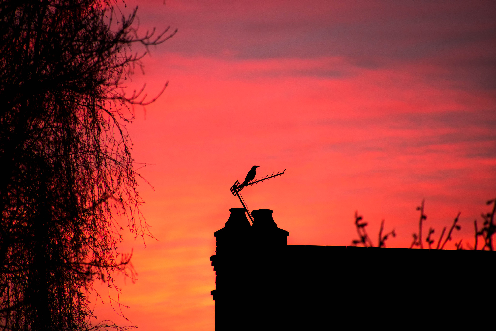 april fool's sunrise
