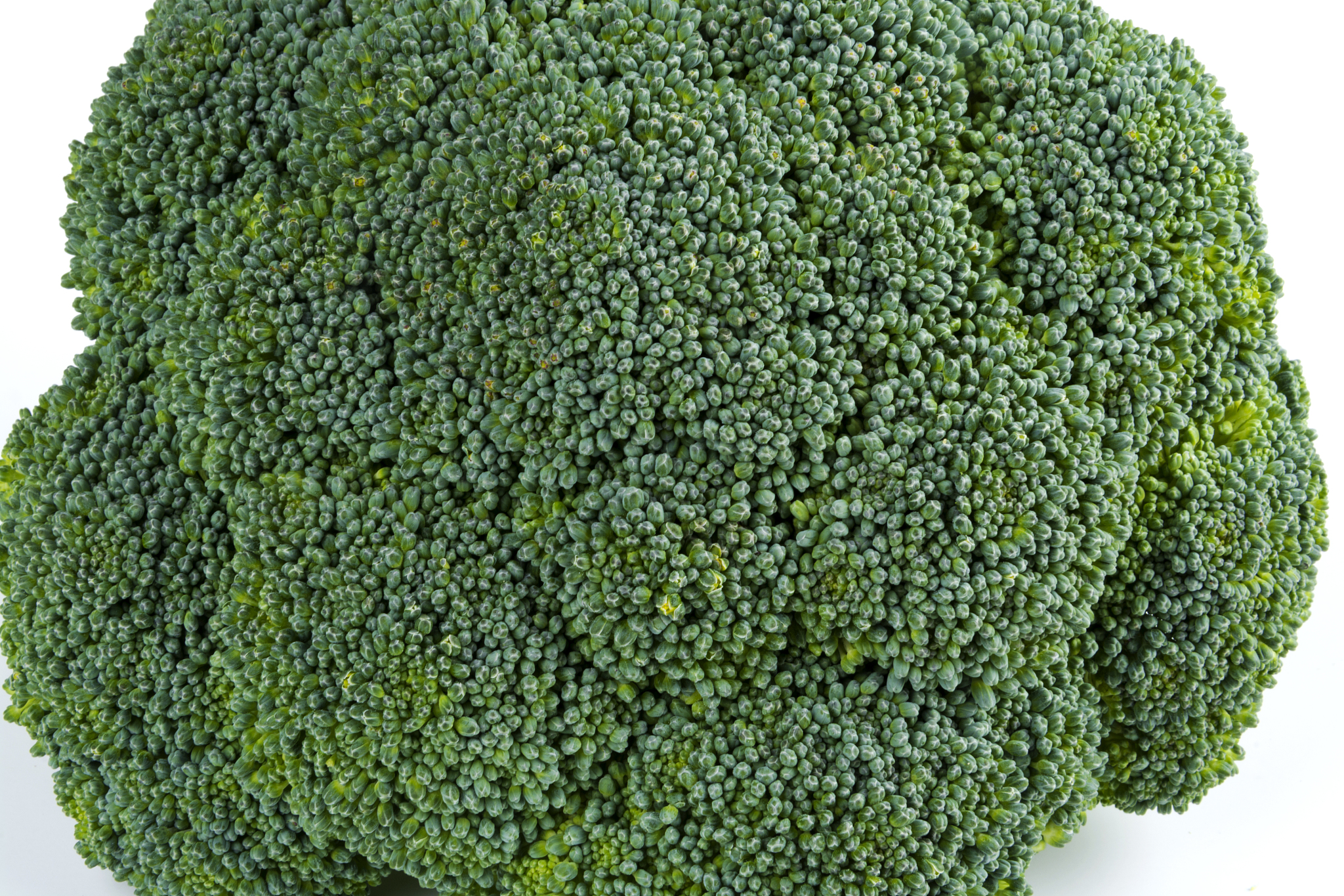 AKG西兰花种子水提物：开启健康生活新方式