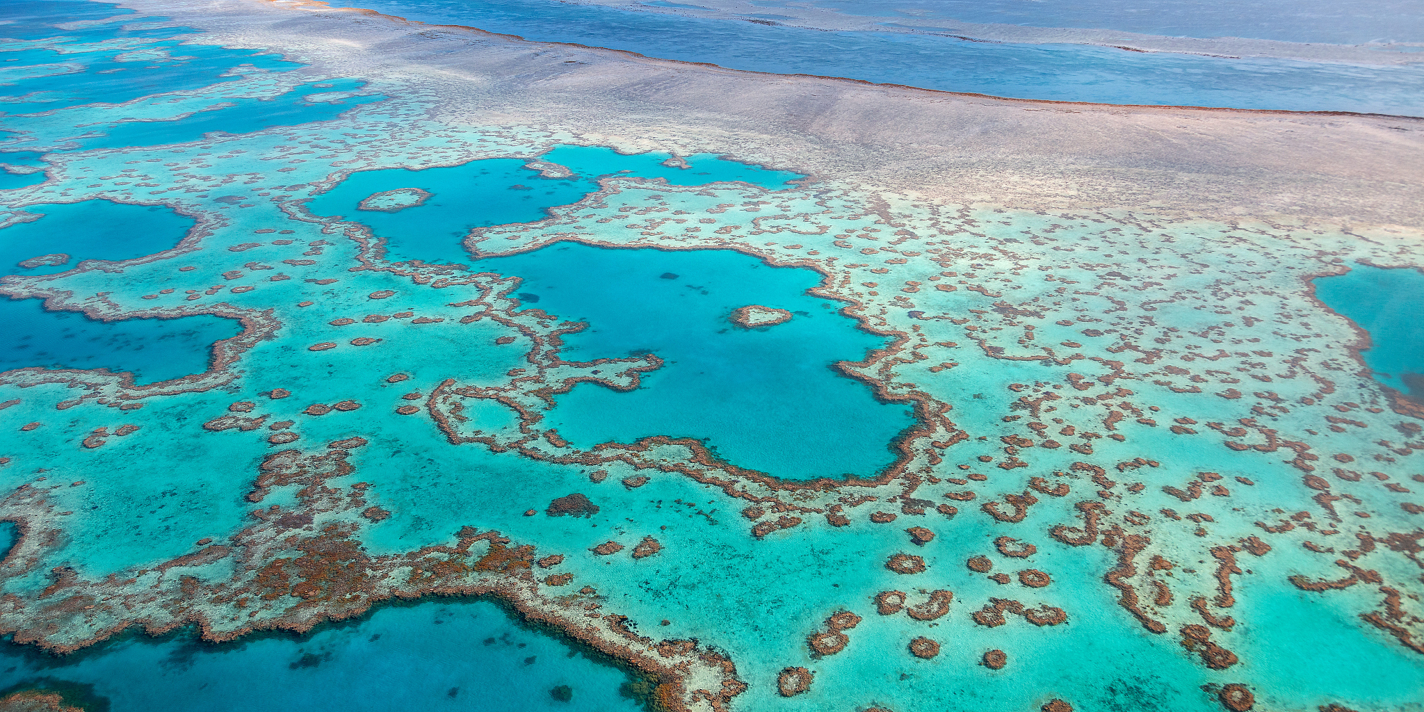 great barrier reef