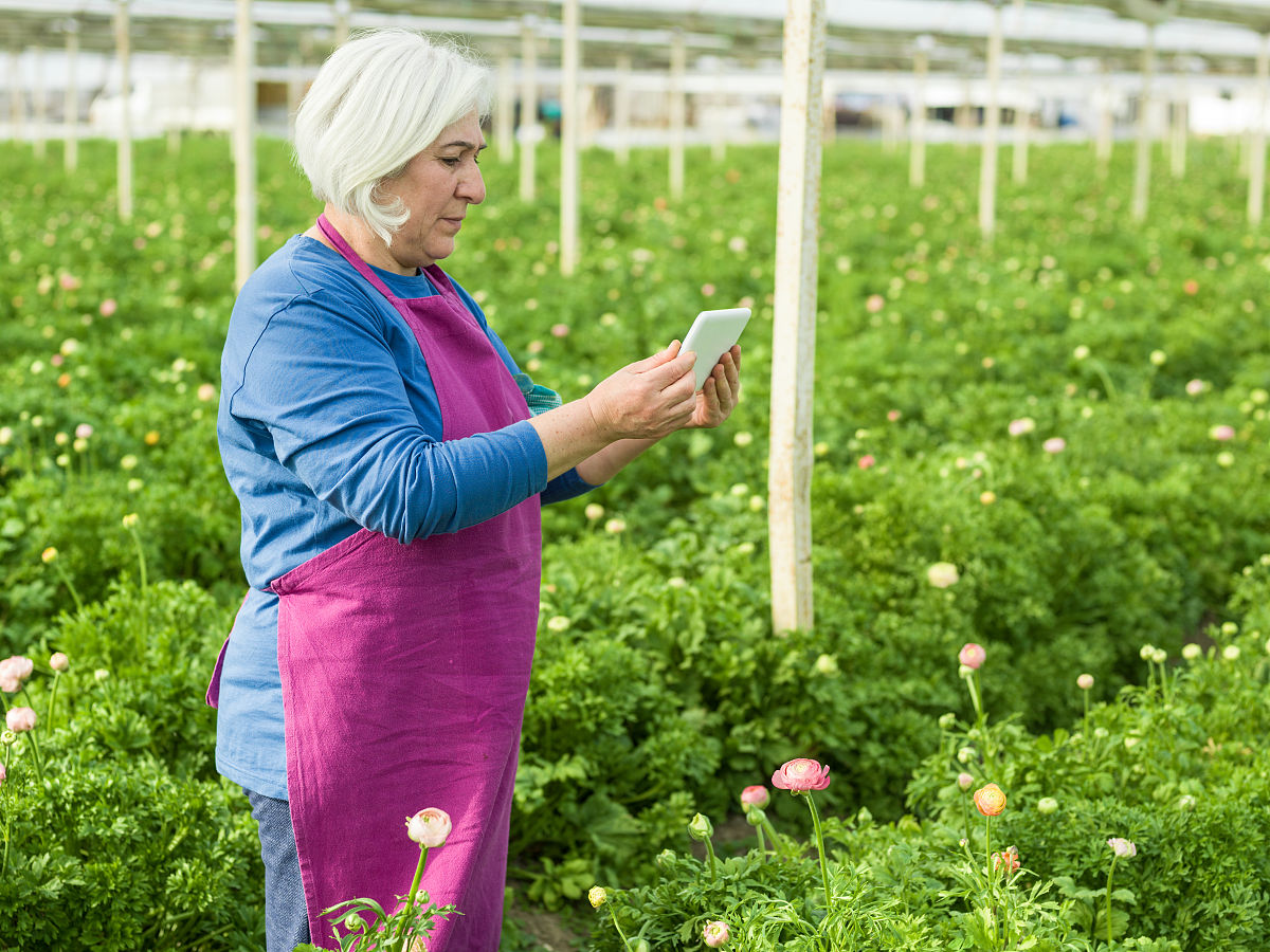 高二历史《国家制度与社会治理》教学进度安排 - 部编版